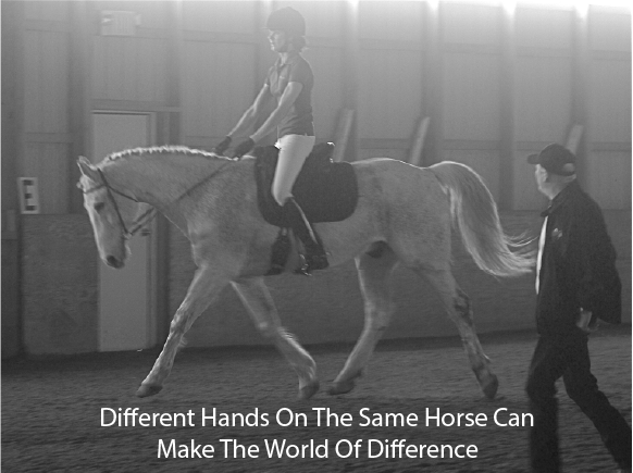 Different Hands On The Same Horse Can Make The World Of Difference Different Hands On The Same Horse Can Make The World Of Difference