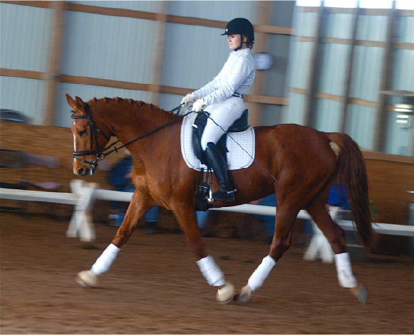 Dressage Student Learning to Extend the Trot