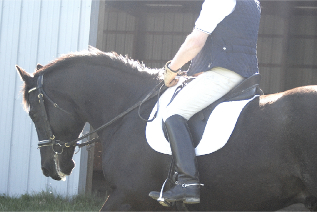 Dressage Without Drilling Dressage Without Drilling