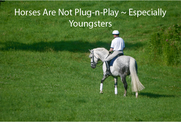 Horses Are Not Plug-n-Play ~ Especially Youngsters Horses Are Not Plug-n-Play ~ Especially Youngsters
