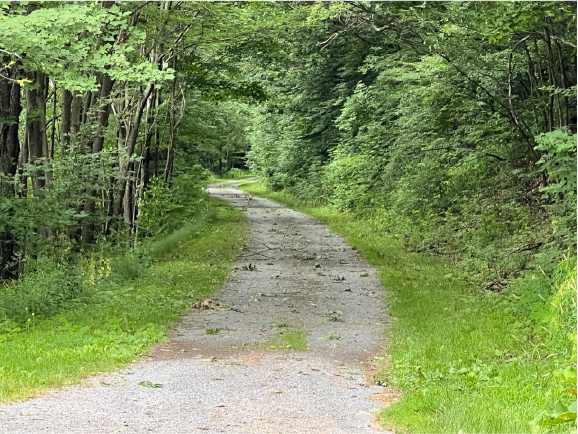 Time To Hit The Trail – The Catskill Scenic Trail That Is Time To Hit The Trail – The Catskill Scenic Trail That Is