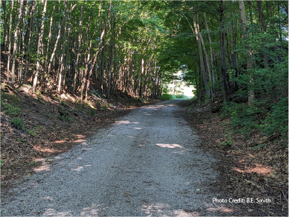 Time To Hit The Trail – The Catskill Scenic Trail That Is Time To Hit The Trail – The Catskill Scenic Trail That Is