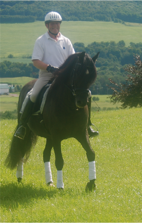 Trail Riding a Stallion