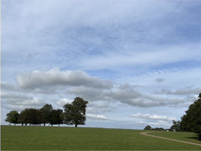 Walk On Gently:
A Carriage Ride Adventure Through Woburn Deer Park - Part 1 
by B.E. Smith