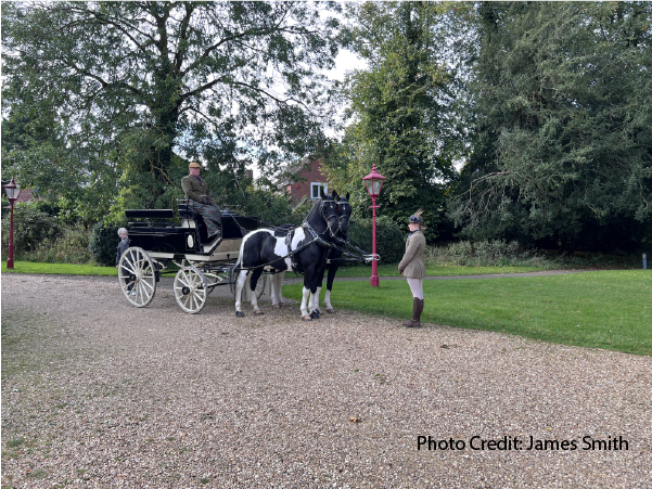 Walk On Gently:
A Carriage Ride Adventure Through Woburn Deer Park-Part 1 
by B.E. Smith