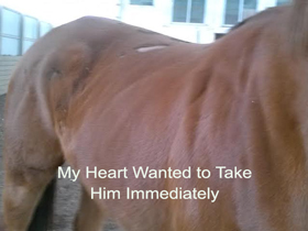 My Heart Wanted to Take 
Him Immediately