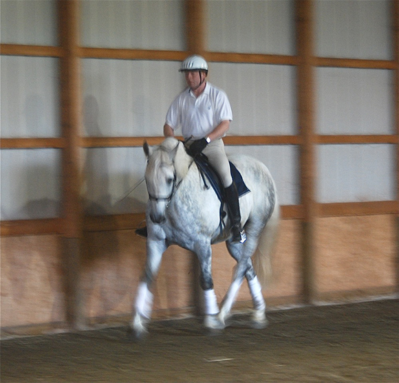 The Key to Success ~ Dressage Schooling Based on Your Horse’s Temperament and Conformation ~ Part 1 Conformation
