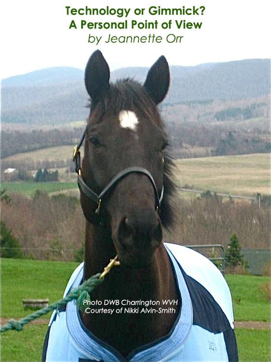 Technology or Gimmick? A Personal Point of View by Jeannette Orr