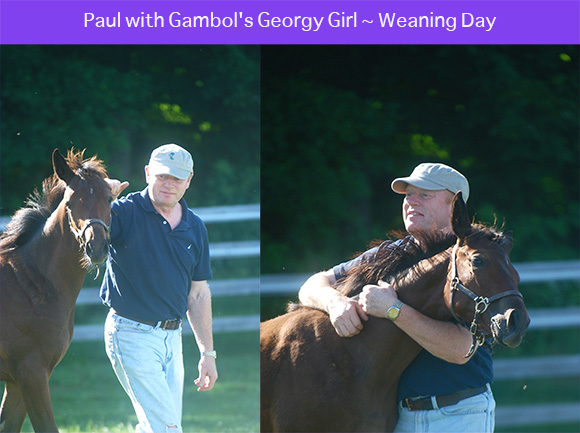 The Life and Times of Annie ~ A Thoroughbred’s Second Chance By Nikki Alvin-Smith