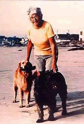 Successful Horse & Pet Adoption ~ Once Upon a Time By Nikki Alvin-Smith