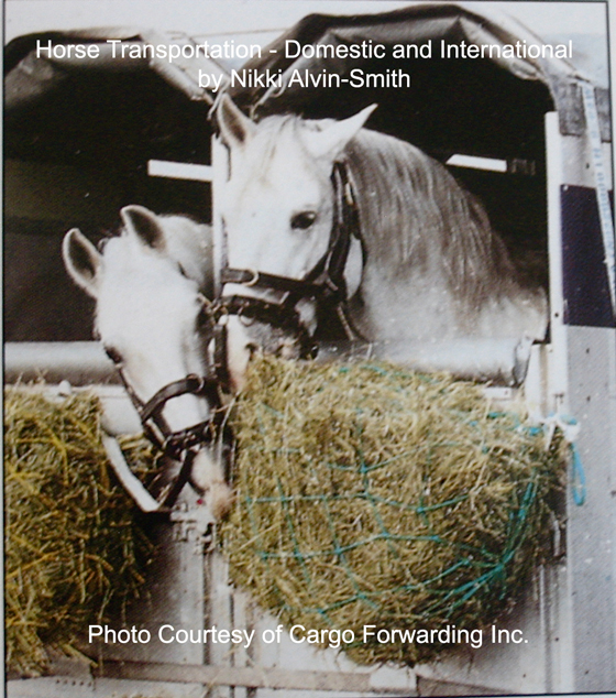 Horse Transportation - Domestic & International
by Nikki Alvin-Smith.