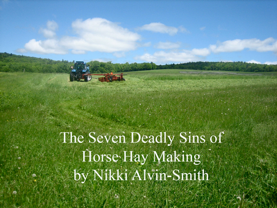 The Seven Deadly Sins of Horse Hay Making
by Nikki Alvin-Smith