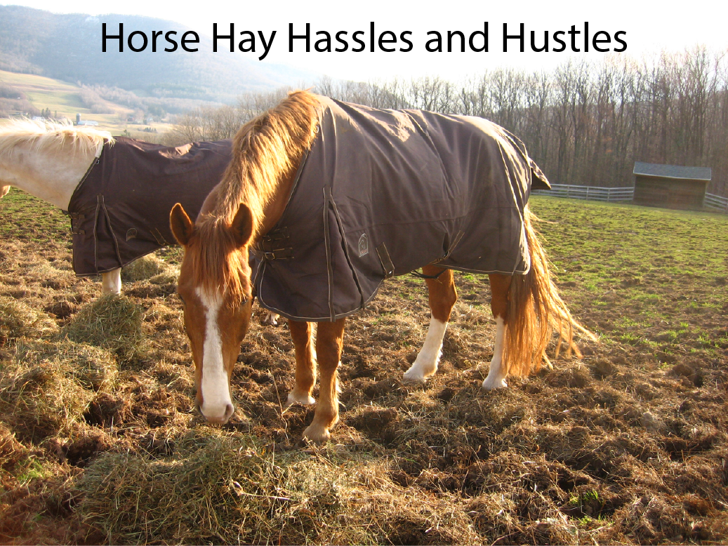 Horse Hay Hassles and Hustles Horse Hay Hassles and Hustles