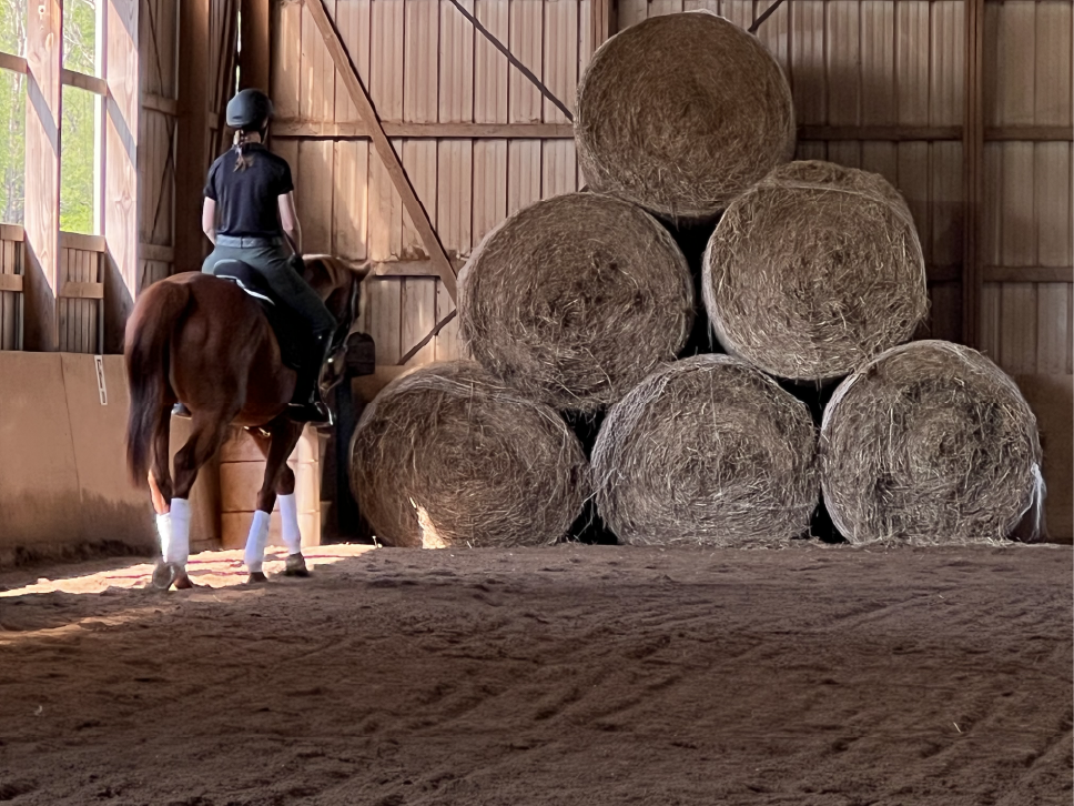 Horse Hay Hassles and Hustles Round Bales