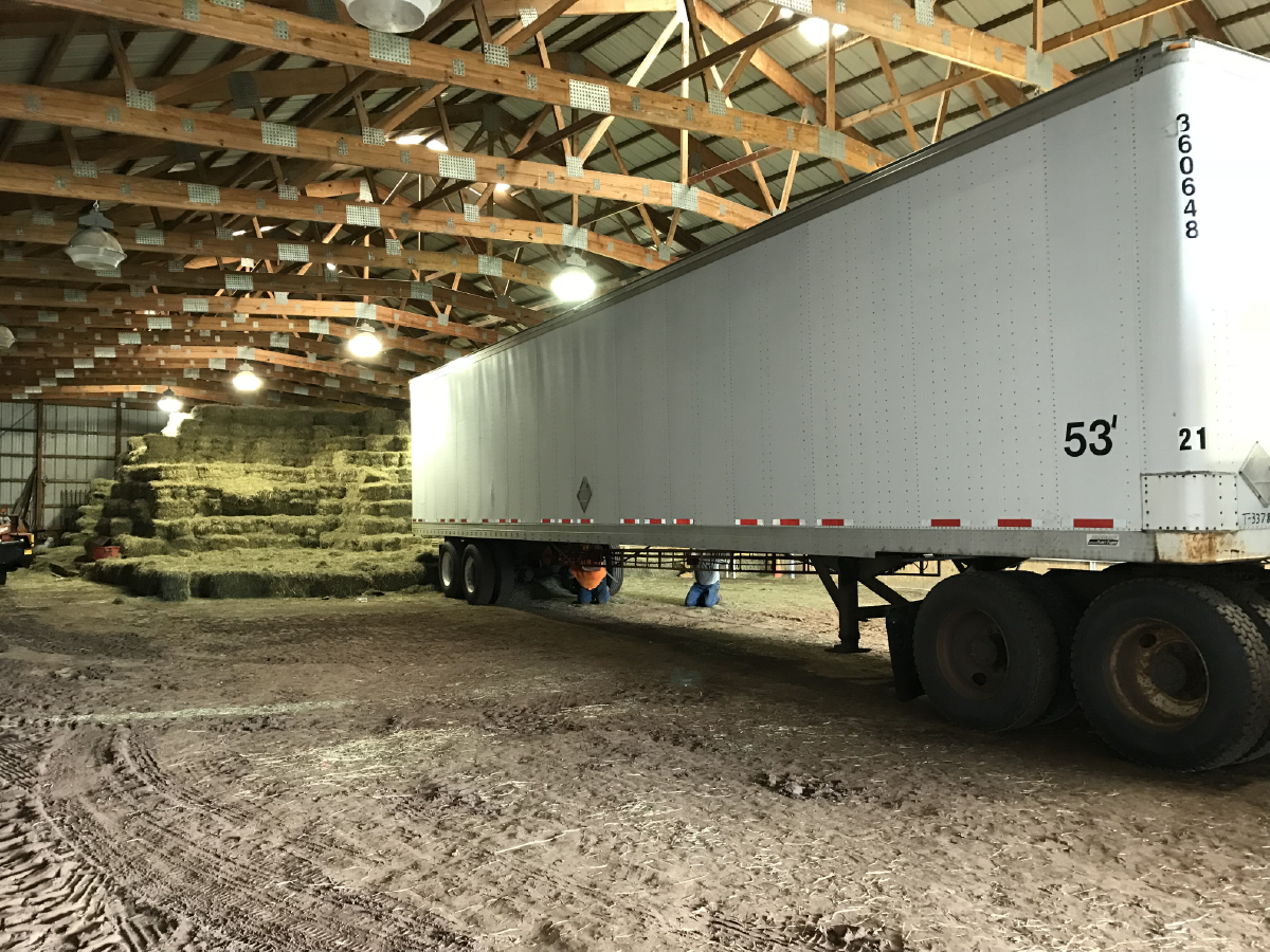 Horse Hay Hassles and Hustles Buy in larger quantities