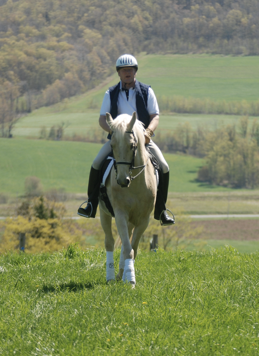 Improve Your Handiwork On The Reins Improve Your Handiwork On The Reins