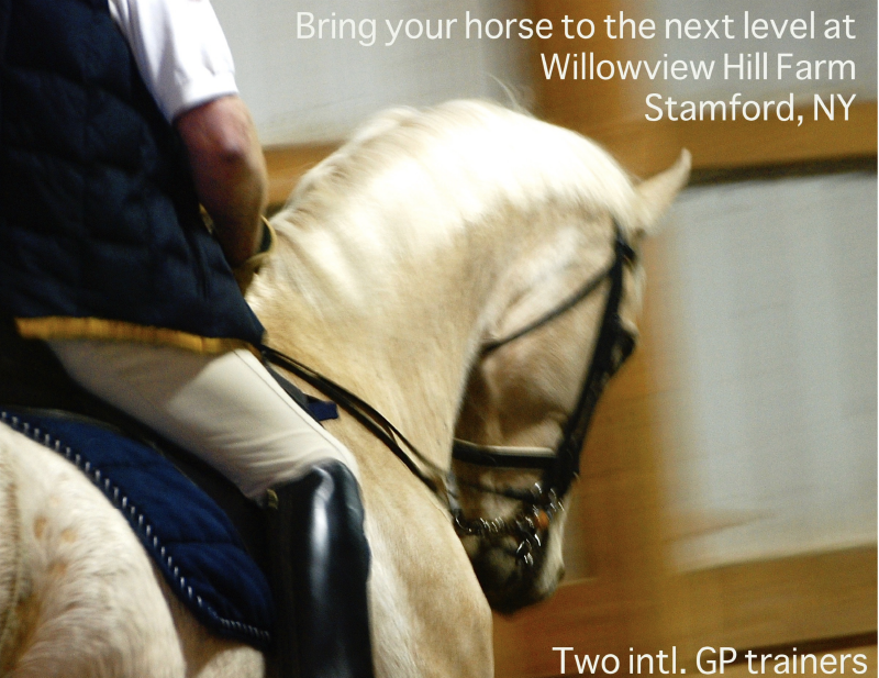 Improve Your Handiwork On The Reins Improve Your Handiwork On The Reins