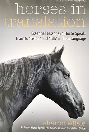 Horses in Translation