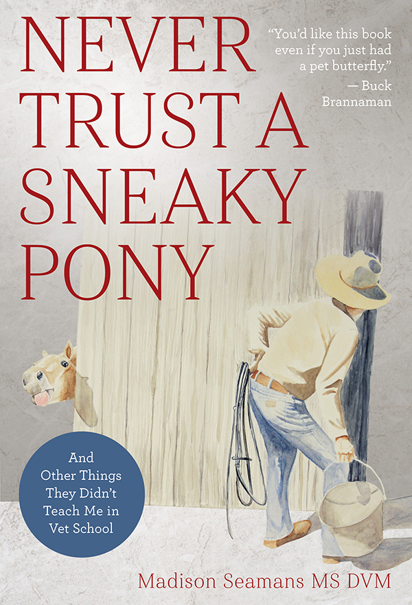 Never Trust A Sneaky Pony 